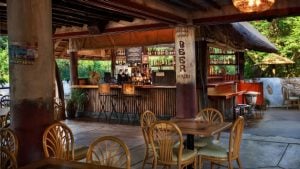 Dawa Bar at Disney's Animal Kingdom