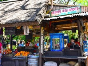 Harambe Fruit Market at Disney's Animal Kingdom