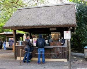 Mahindi at Disney's Animal Kingdom
