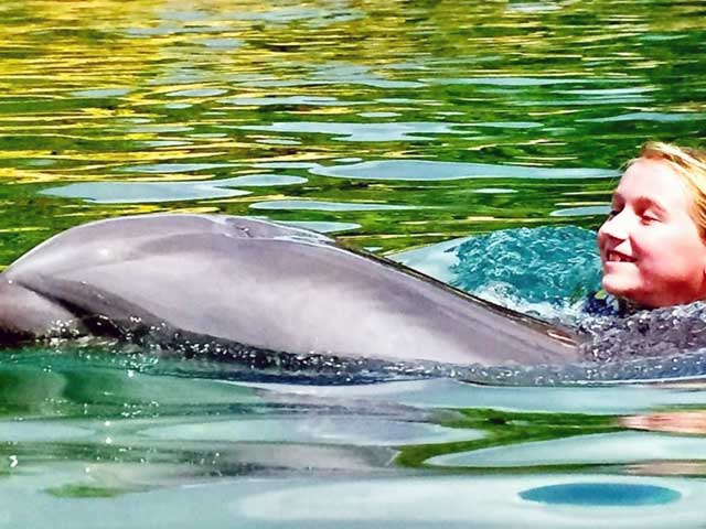Swim with Dolphins at Discovery Cove Orlando