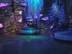 Empire of the Penguin at SeaWorld