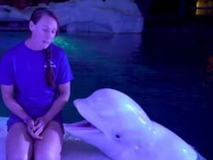Beluga Whale Sea of Power SeaWorld Orlando