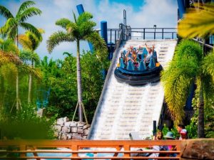 Infinity Falls - Sea of Mystery at SeaWorld Orlando
