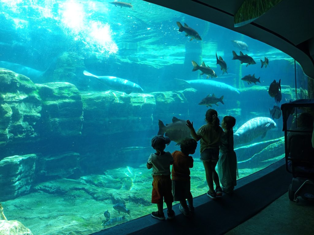 Sea of Mystery at SeaWorld Orlando