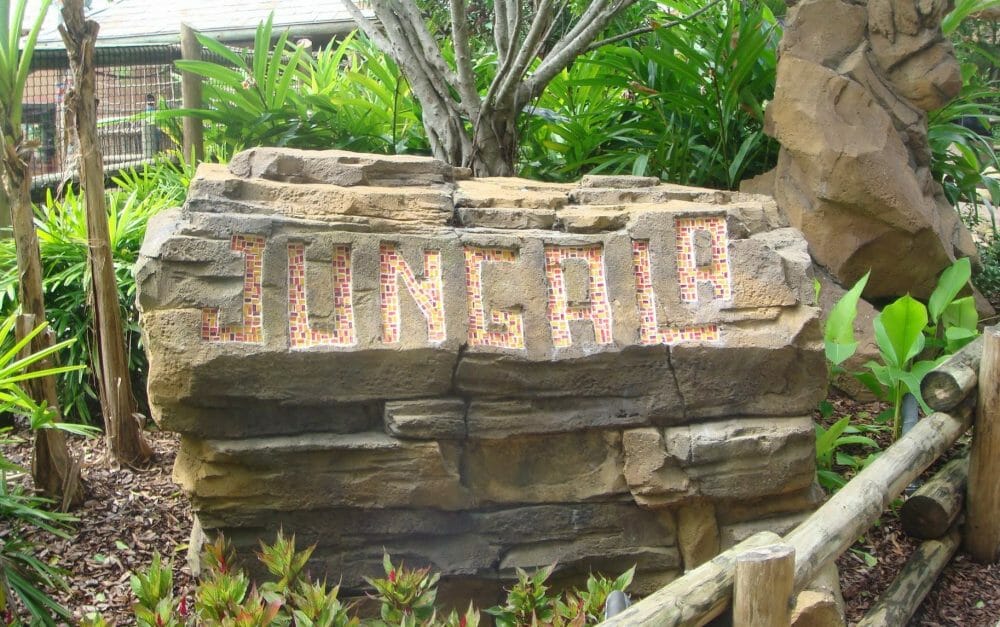 Jungala at Busch Gardens Tampa Bay