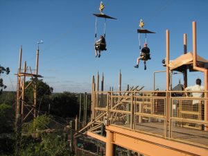 Jungle Flyers Jungala at Busch Gardens Tampa Bay