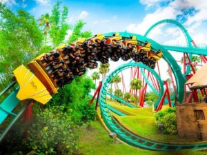 Kumba Coaster Congo Busch Gardens Tampa Bay