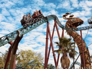 Riding Cobra's Curse Busch Gardens