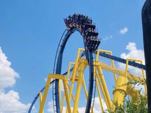 Riding Montu Busch Gardens