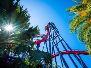 SheiKra Coaster Stanleyville Busch Gardens Tampa Bay