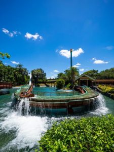Stanley Falls Flume Stanleyville Busch Gardens Tampa Bay