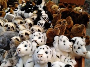 Tiger Treasures Jungala at Busch Gardens Tampa Bay