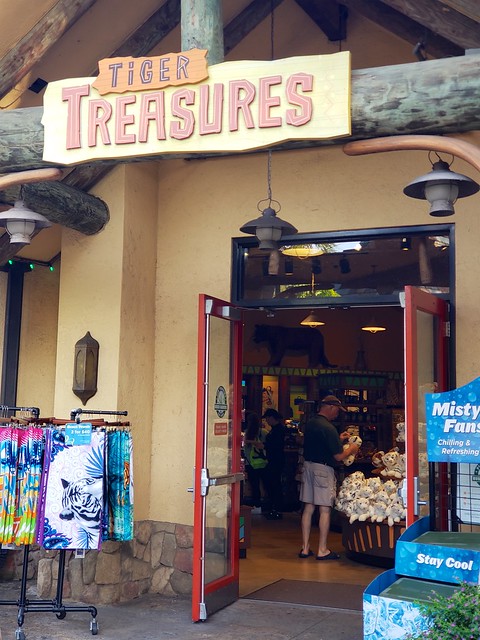 Tigers at Jungala Busch Gardens Tampa Bay