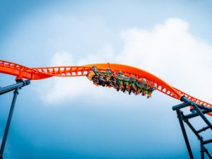 Tigris Stanleyville Busch Gardens Tampa Bay
