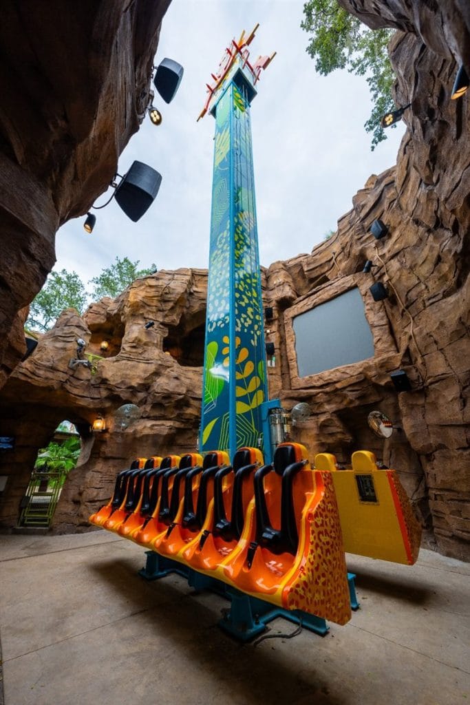 Treetop Drop Ride at Wild Oasis Busch Gardens