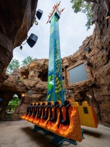 Treetop Drop Ride at Wild Oasis Busch Gardens