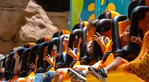 Treetop Drop Ride Wild Oasis